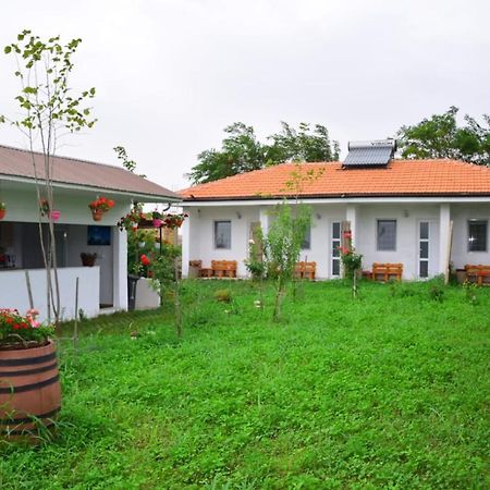 Casa Gyomar Hotel Vama Veche Exterior foto